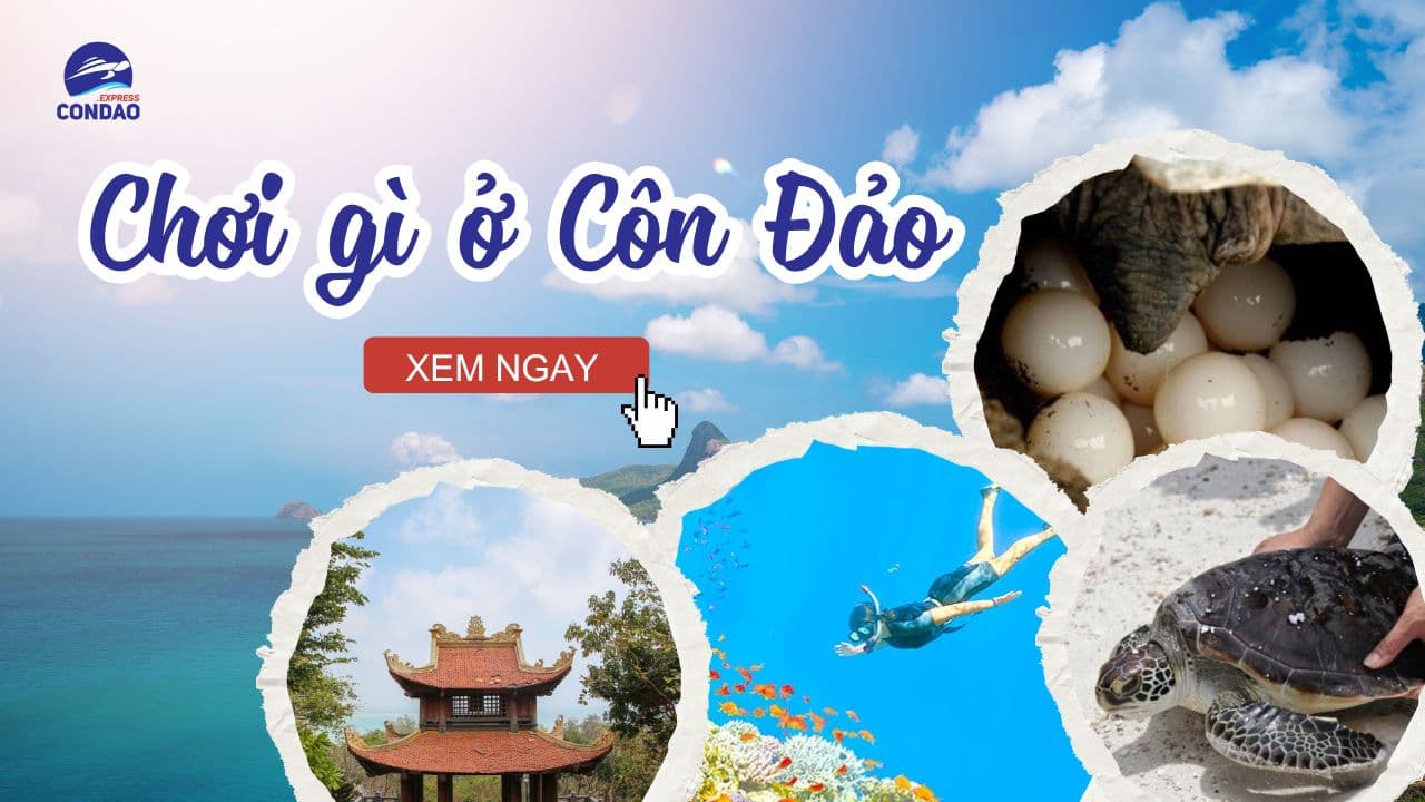 Chơi gì ở Côn Đảo