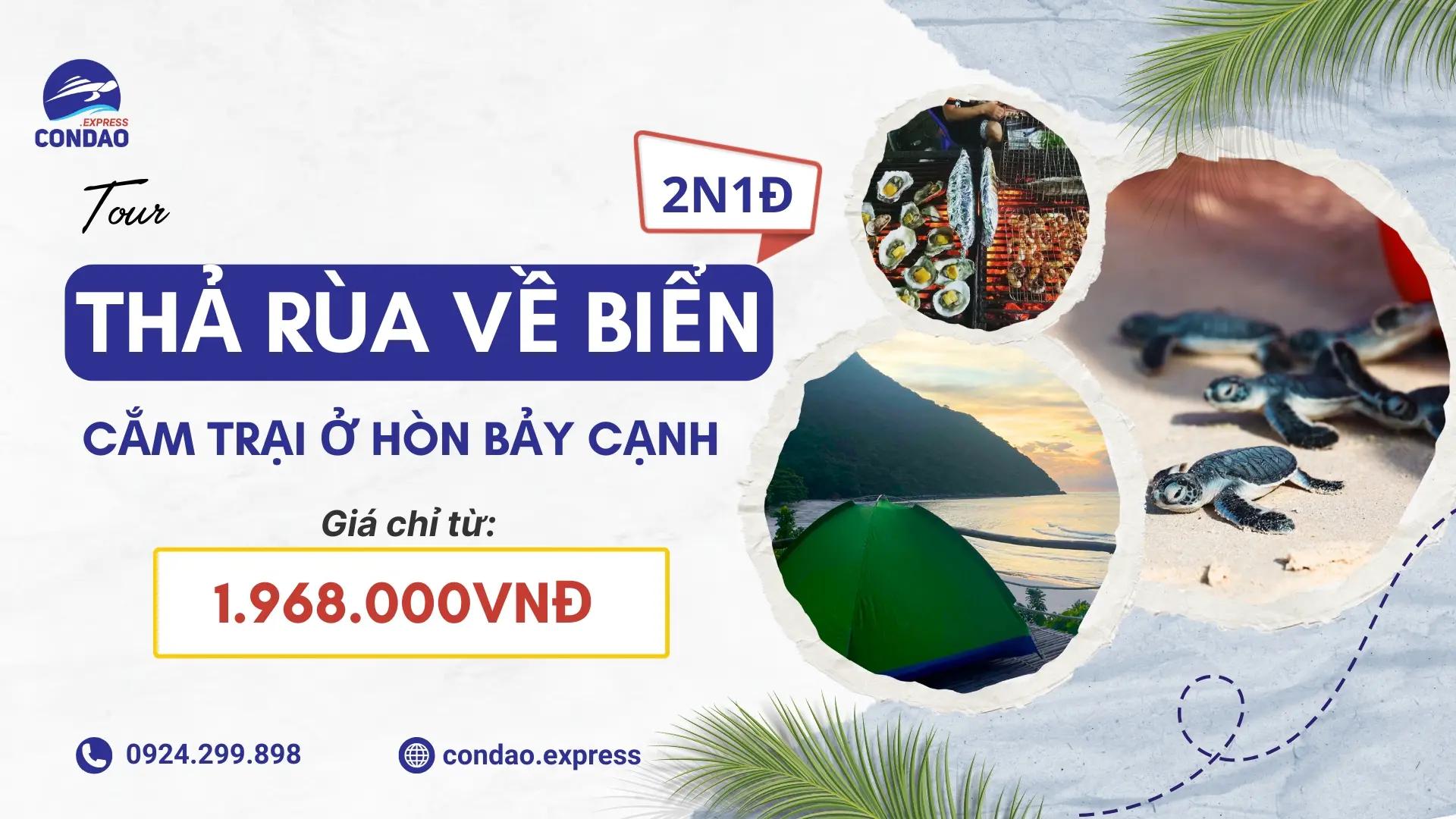 Tour thả rùa về biển kết hợp cắm trại Hòn Bảy Cạnh