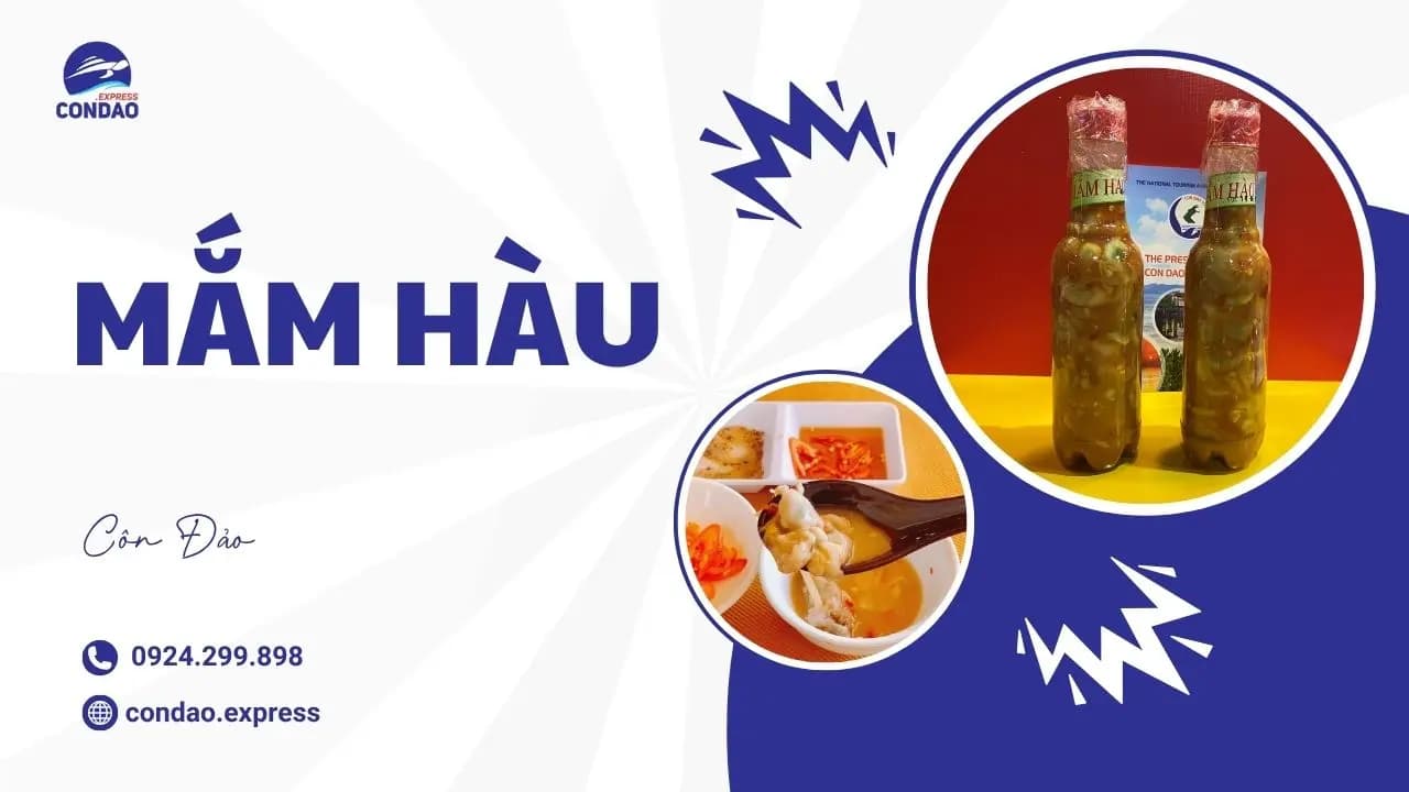 Mắm hàu Côn Đảo: Đặc sản nổi tiếng làm quà ở Côn Đảo 2026