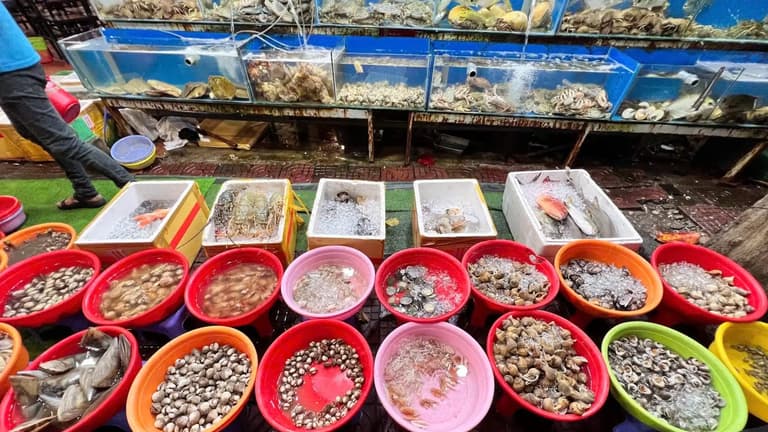Khu bán hải sản tươi sống ở chợ Côn Đảo