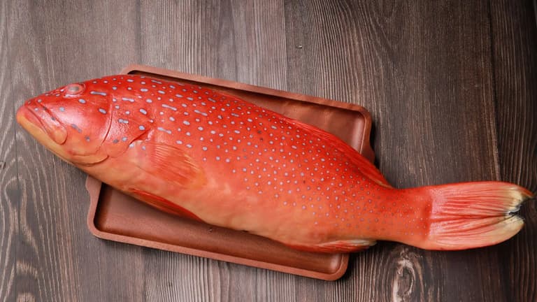 Cá mú đỏ - Đặc sản ở Côn Đảo