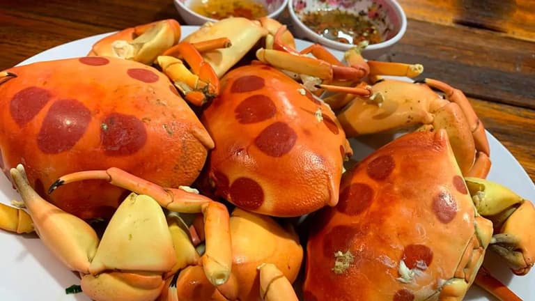 Hải sản Côn Đảo cua mặt trăng