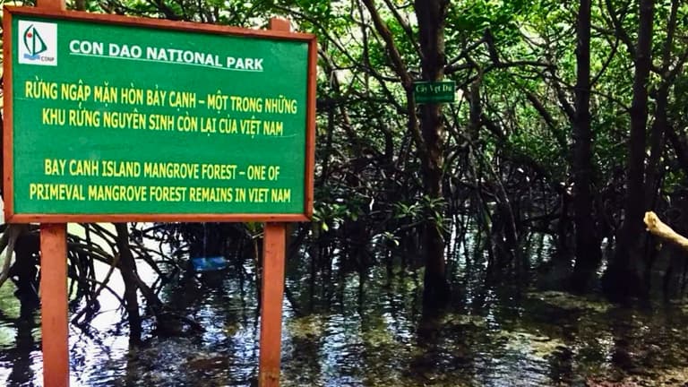Hòn Bảy Cạnh sở hữu hệ sinh thái rừng ngập mặn lớn (Ảnh: Sưu tầm)