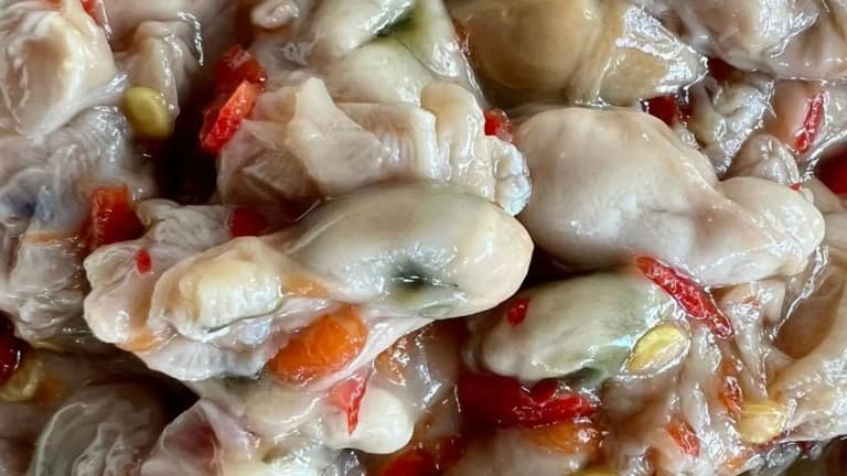 Mắm hàu Côn Đảo nguyên con