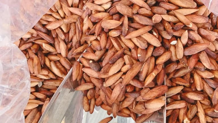 Mứt hạt bàng được nhiều du khách mua về làm quà