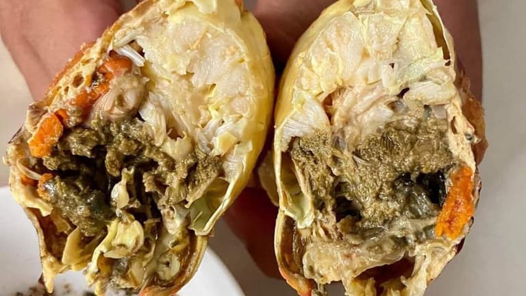 Thịt cua mặt trăng chứa rất nhiều đạm