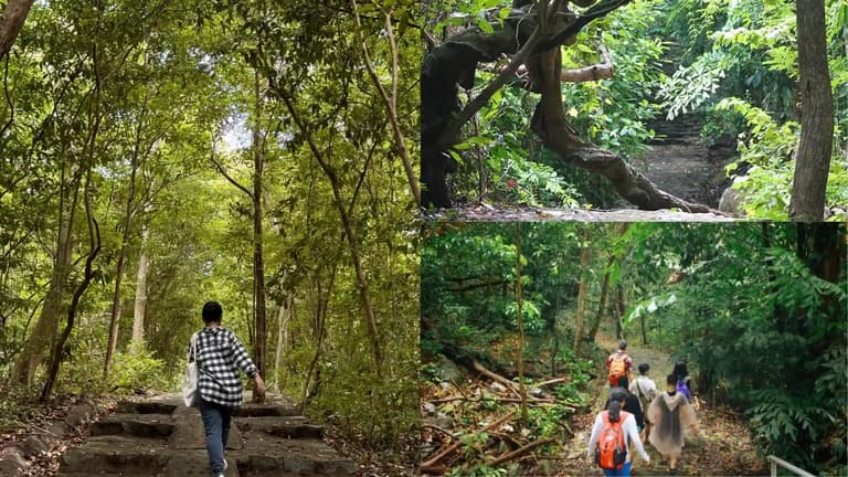 Trecking xuyên rừng ở bãi Ông Đụng