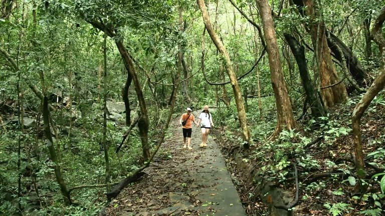 Trecking xuyên rừng hòa mình với thiên nhiên
