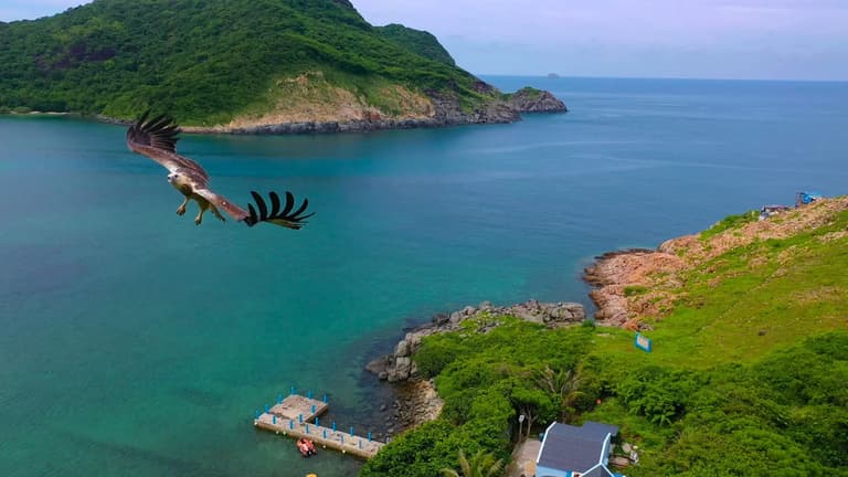 Vịnh Đầm Tre Côn Đảo sở hữu thiên nhiên trong lành (Sưu tầm)
