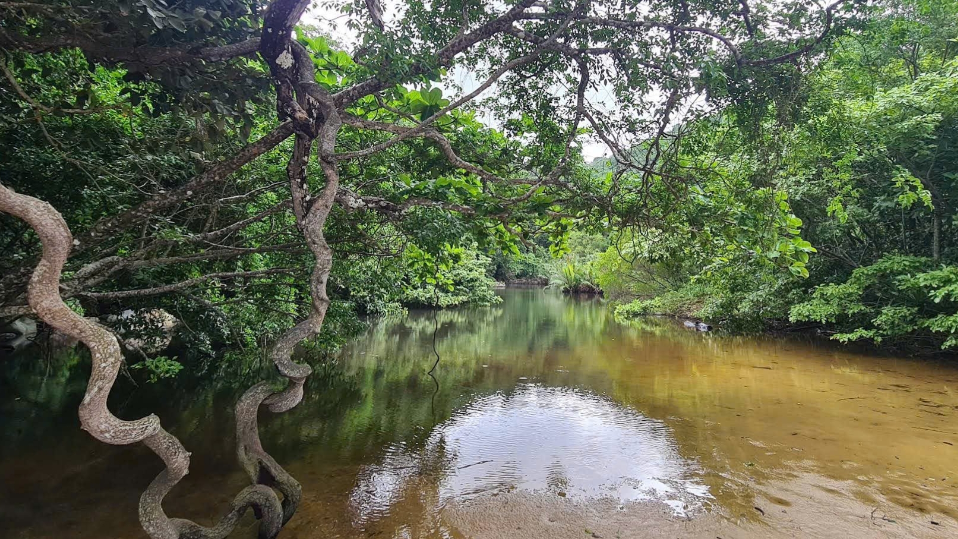 Bãi Suối Nóng có khung cảnh đẹp