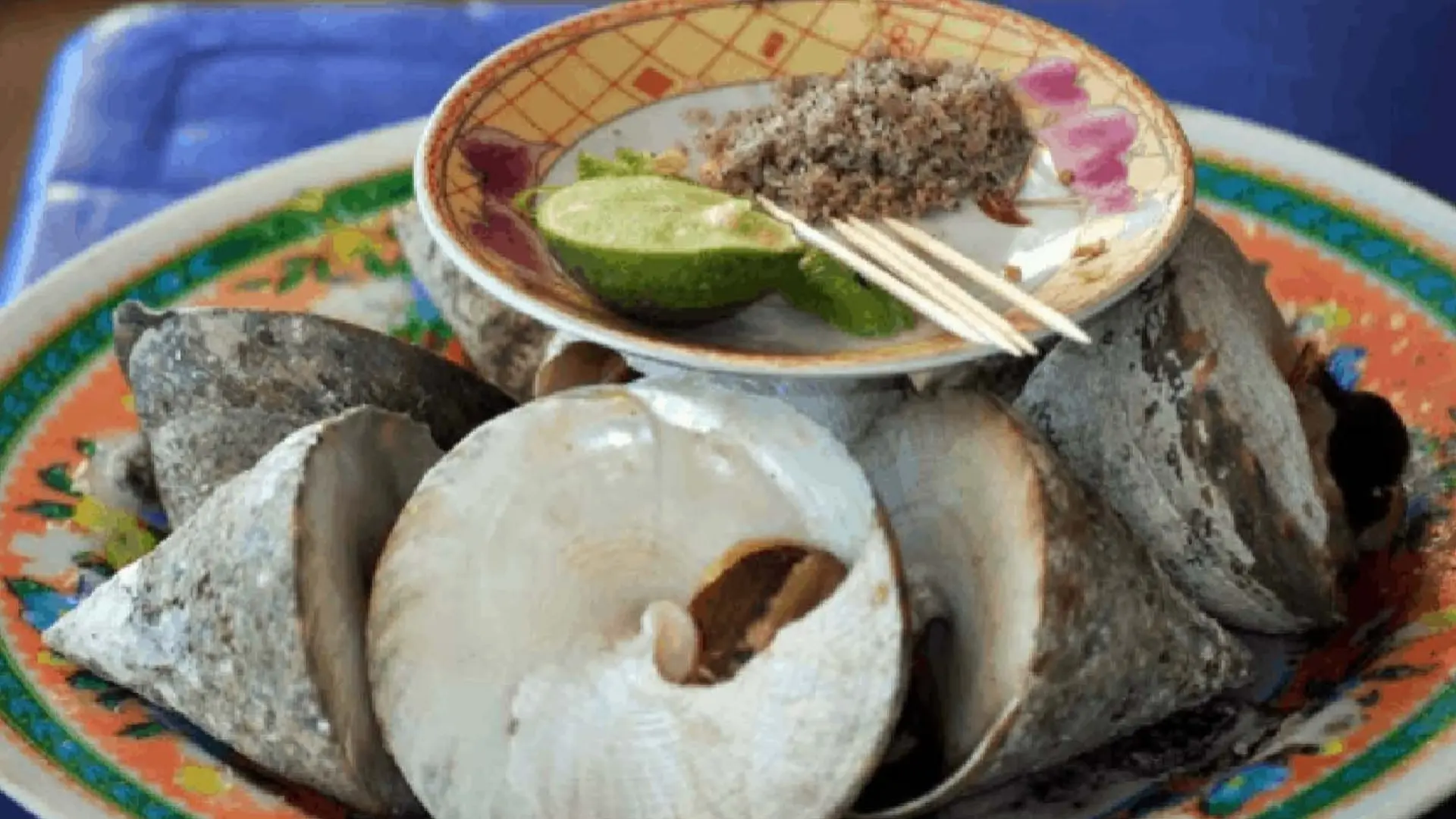 Ốc vú nàng luộc