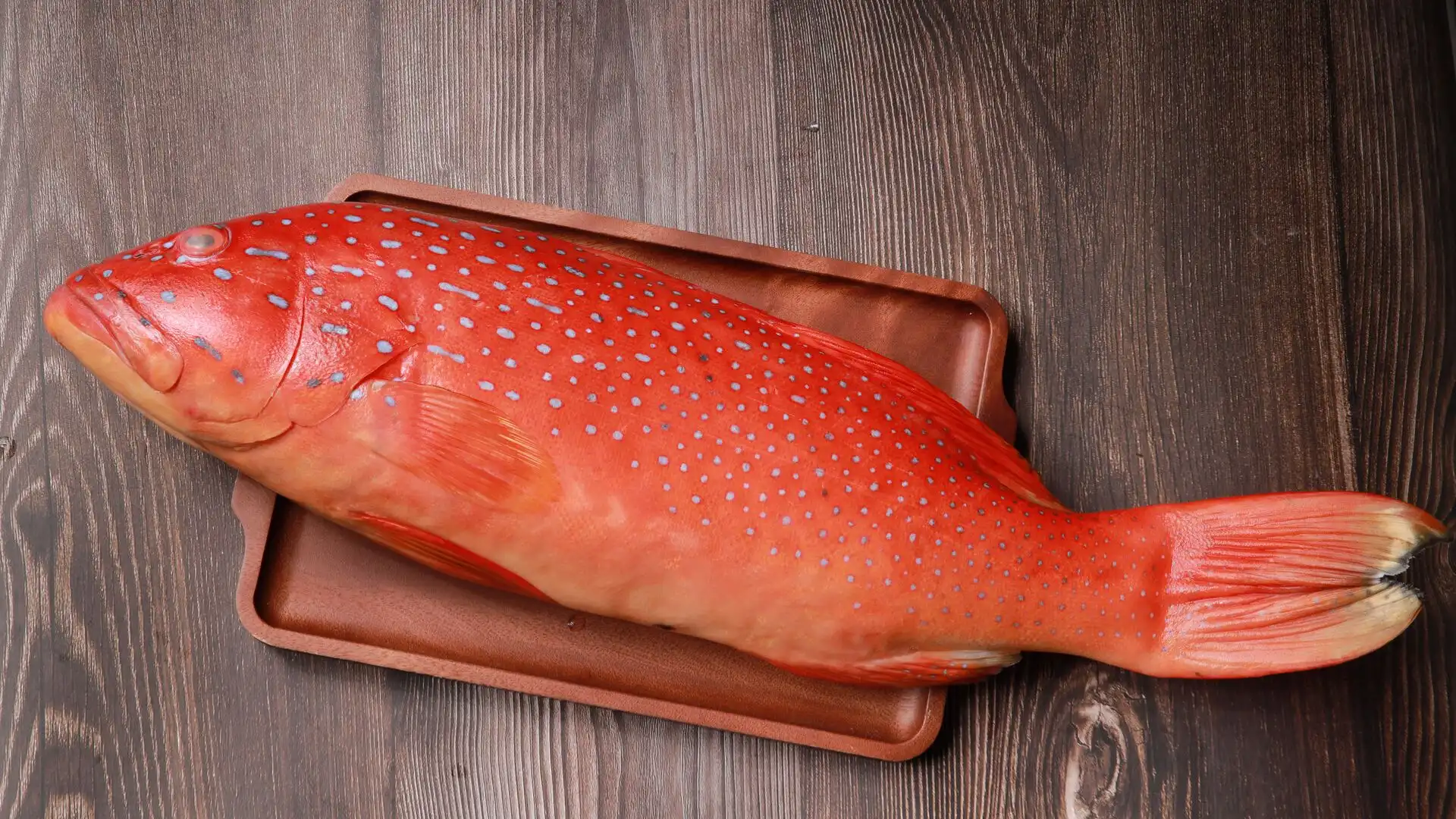 Cá mú đỏ - Đặc sản ở Côn Đảo