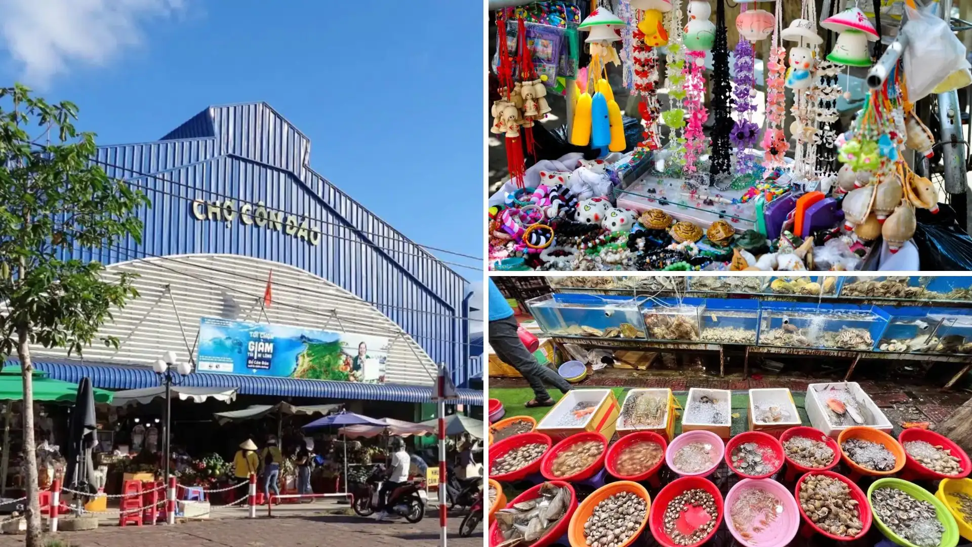 Khung cảnh nhộn nhịp tại Chợ Côn Đảo, nơi bày bán hải sản và đặc sản địa phương