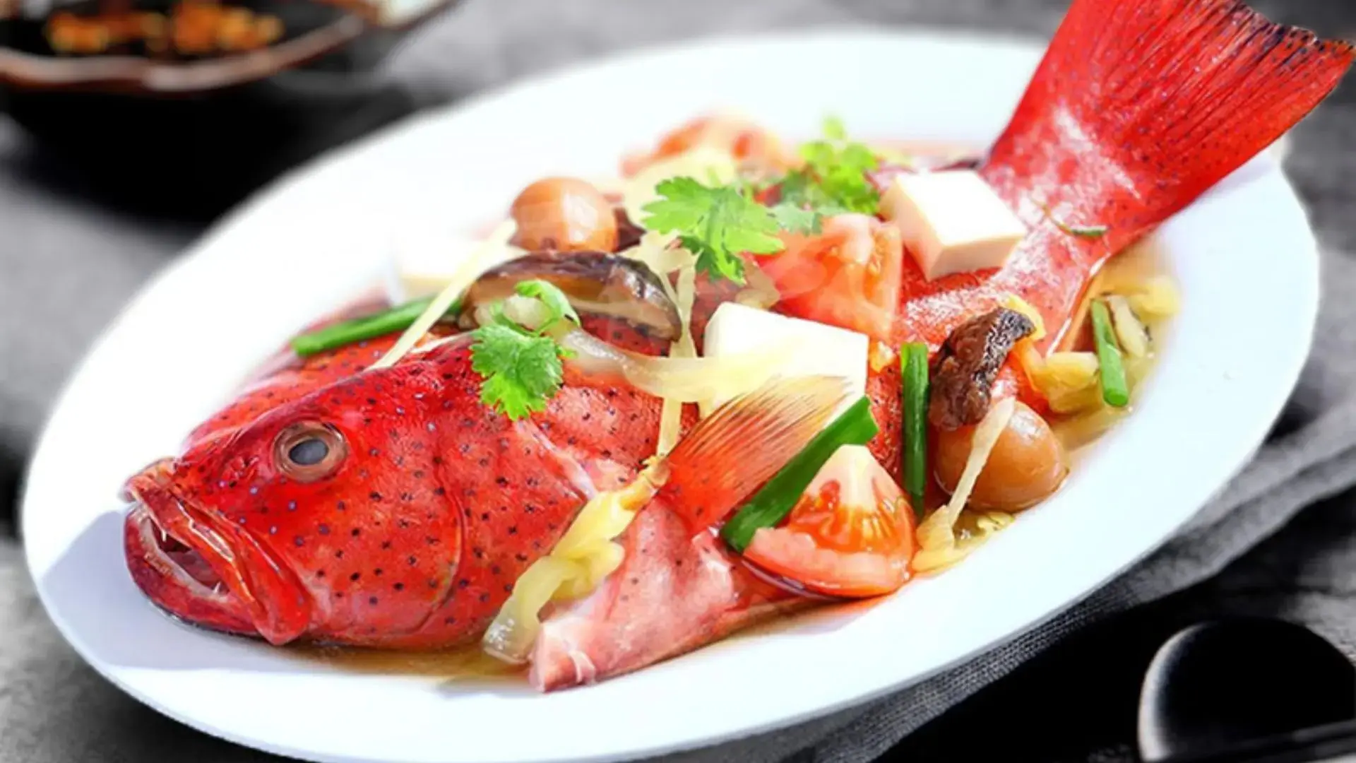 Hải sản Côn Đảo cá mú đỏ