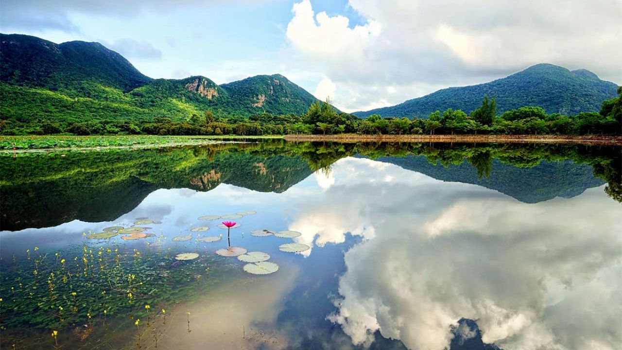 Hồ sen An Hải mang vẻ đẹp độc đáo