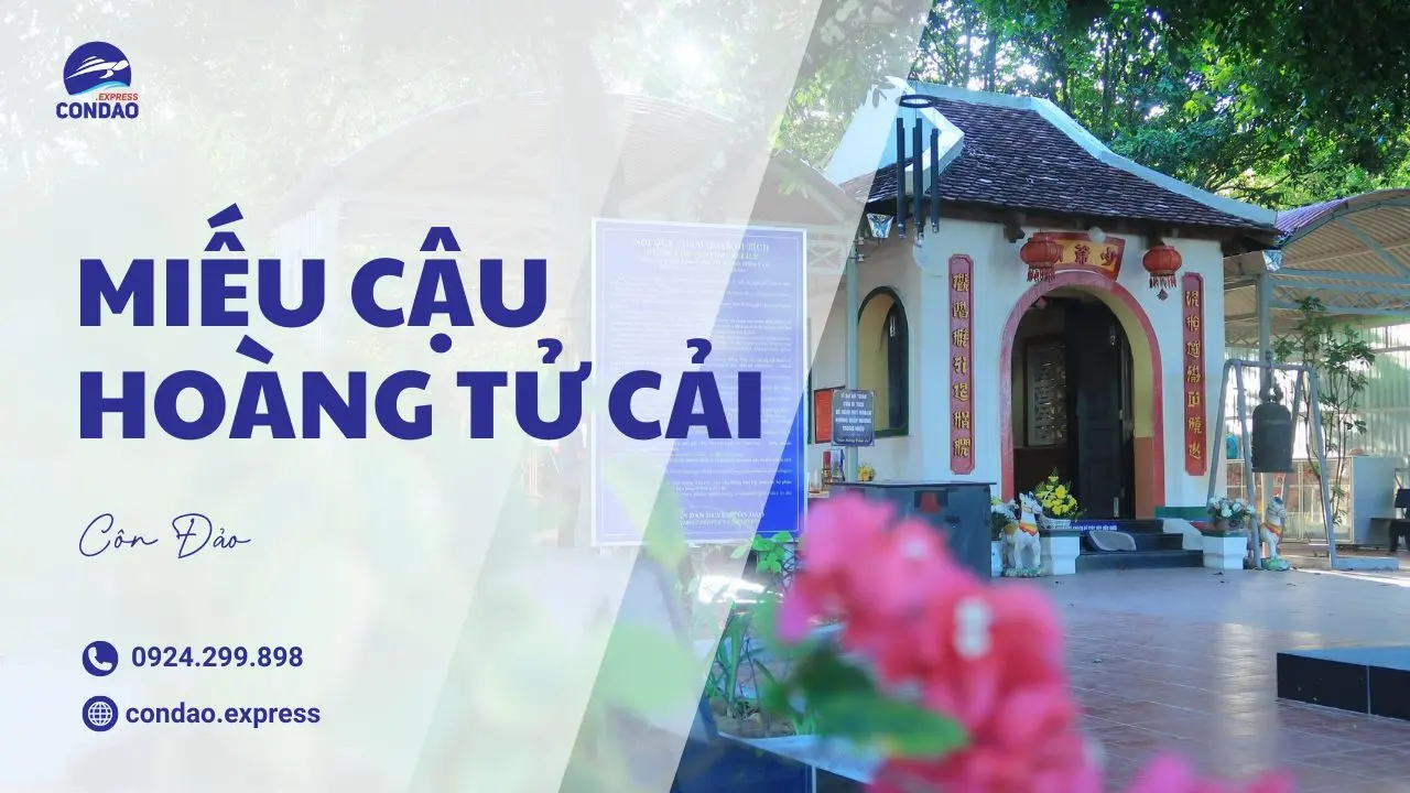 Hướng dẫn tham quan Miếu Cậu Hoàng Tử Cải chi tiết đầy đủ mới nhất