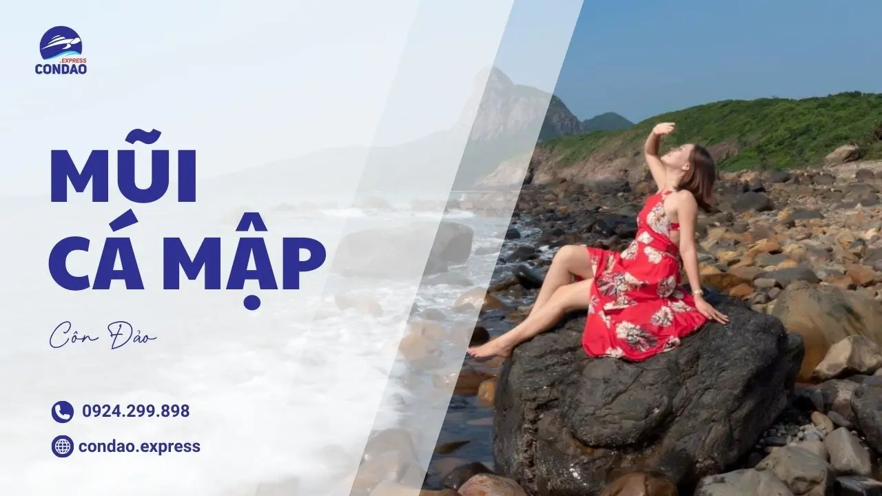 Tham quan Mũi Cá Mập – tuyệt tác cảnh quan Côn Đảo