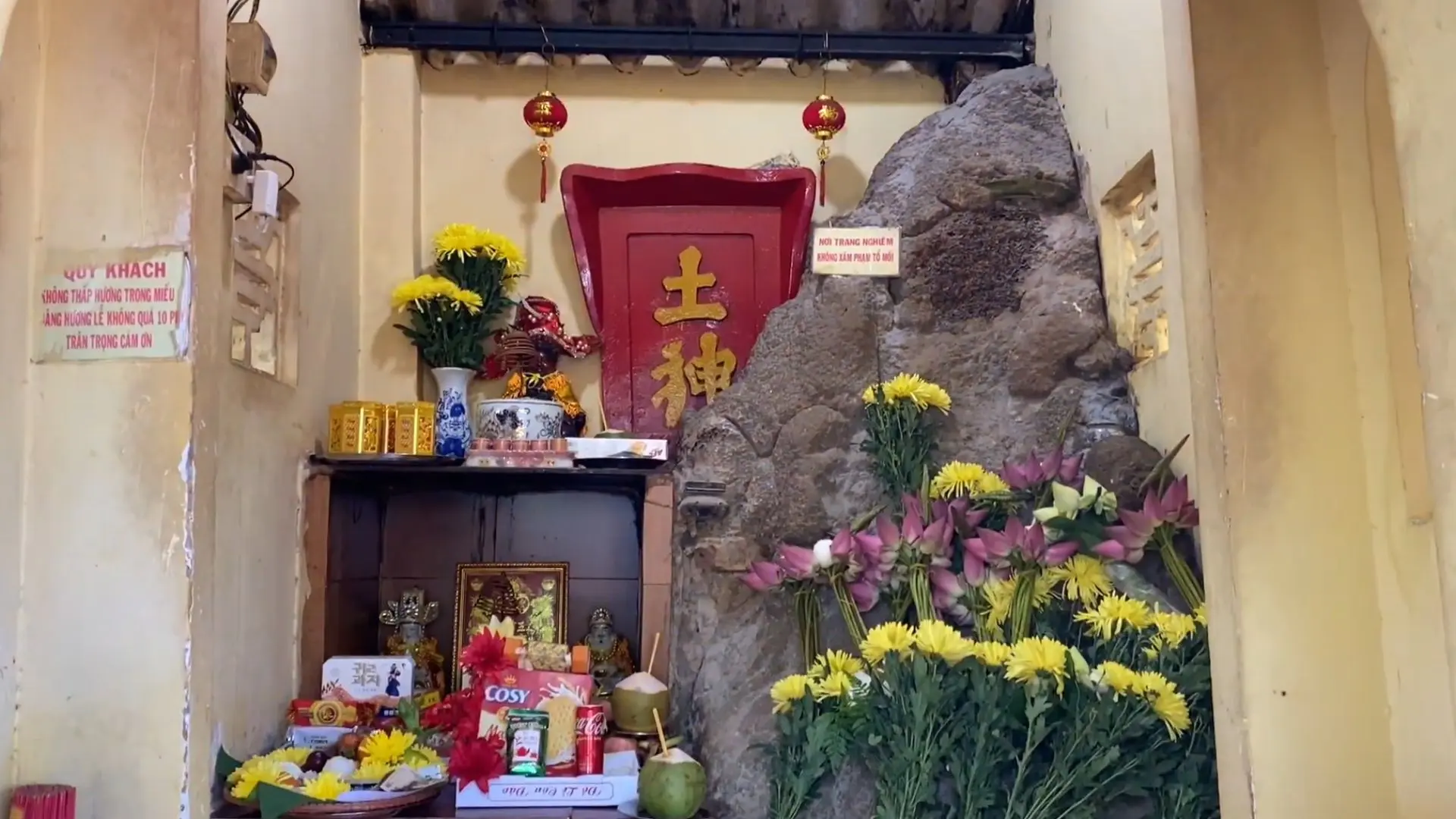 Tổ mối rất to bên trong miếu thần tài Côn Đảo