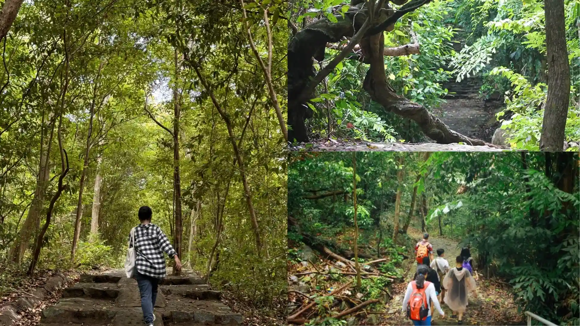 Trecking xuyên rừng ở bãi Ông Đụng