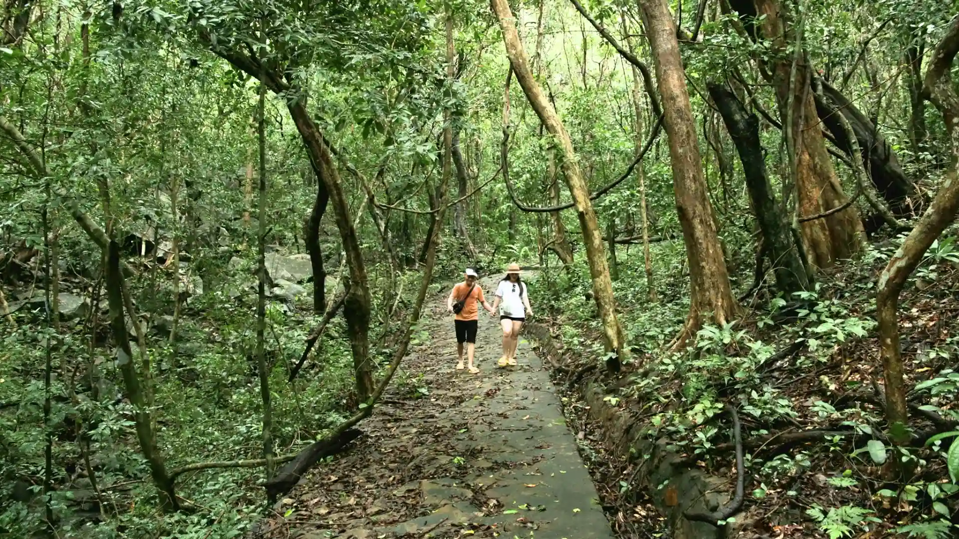 Trecking xuyên rừng hòa mình với thiên nhiên