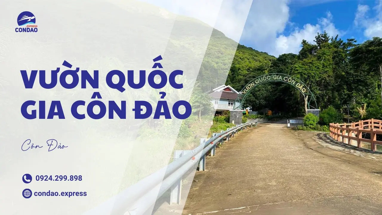 Vườn quốc gia Côn Đảo – Nơi bảo tồn di sản thiên nhiên